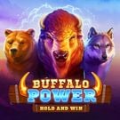 Buffalo Power: Hold and Win